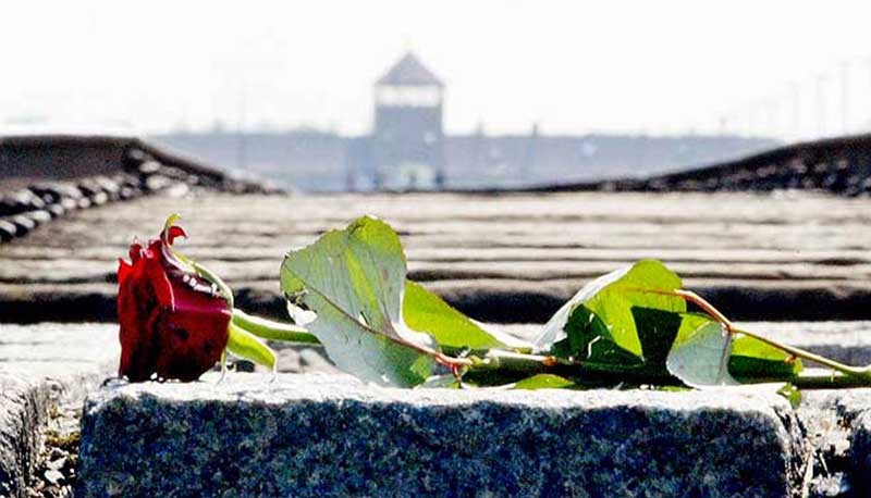 Giornata della Memoria 2019, data e significato della ricorrenza