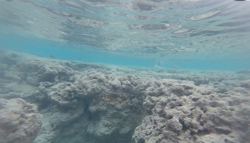 Spring Break alle Hawaii, esperienza unica