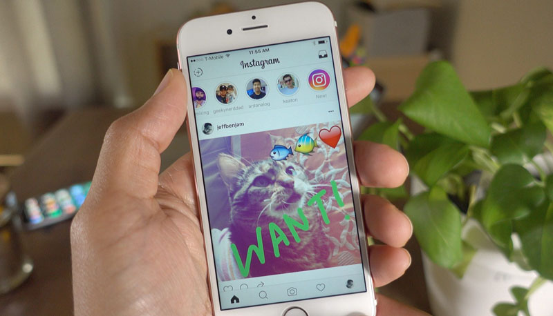 Come vedere le storie Instagram senza account e in anonimo