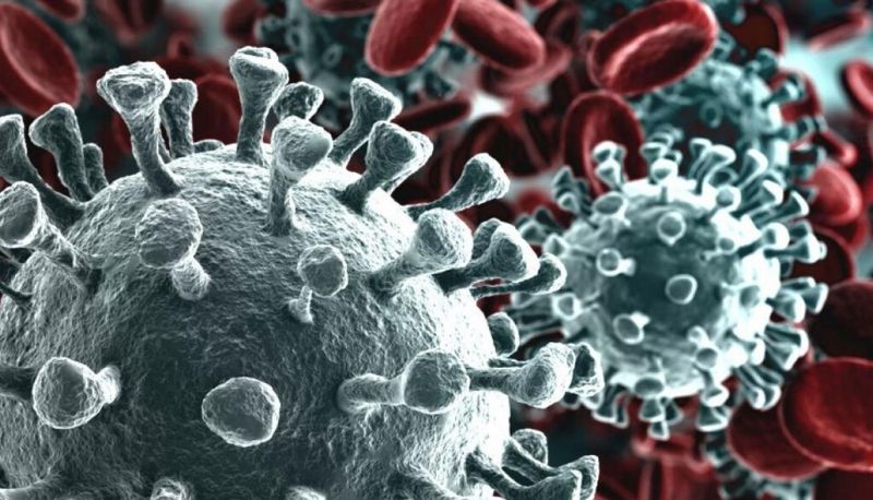 Coronavirus: studente di 24 anni nel team italiano che ha scoperto come si contagia all’uomo