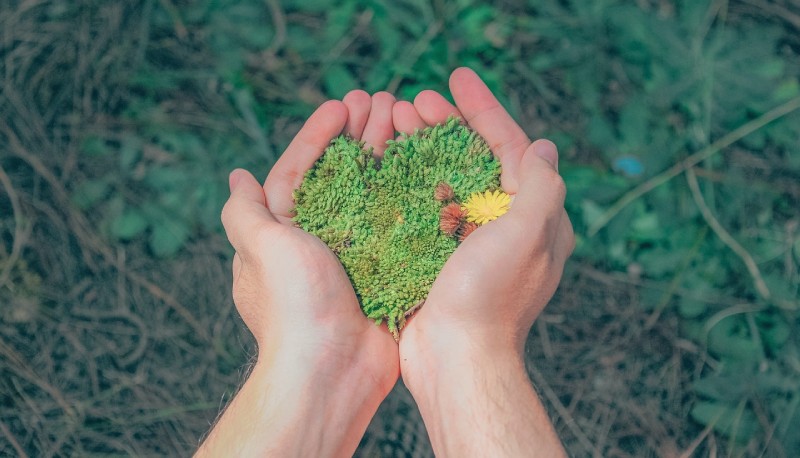 "Vi teniamo d’occhio": il libro che spiega cosa possono fare i giovani (e non solo) per salvare il Pianeta