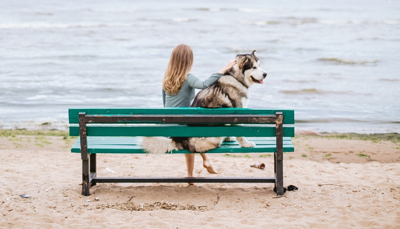 Ecco perché il cane è il miglior amico dell’uomo