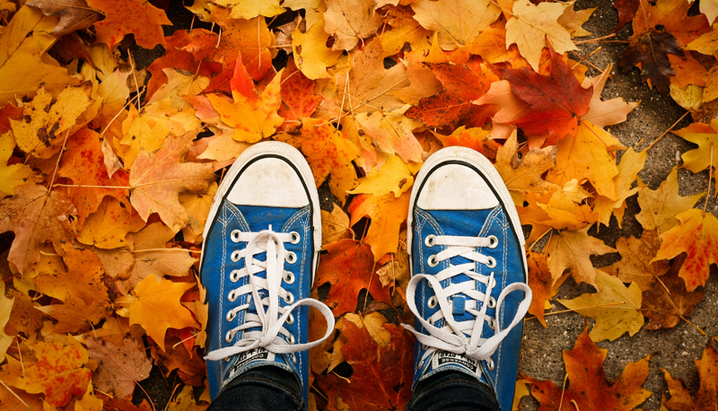 Equinozio di Autunno, quando inizia la stagione?