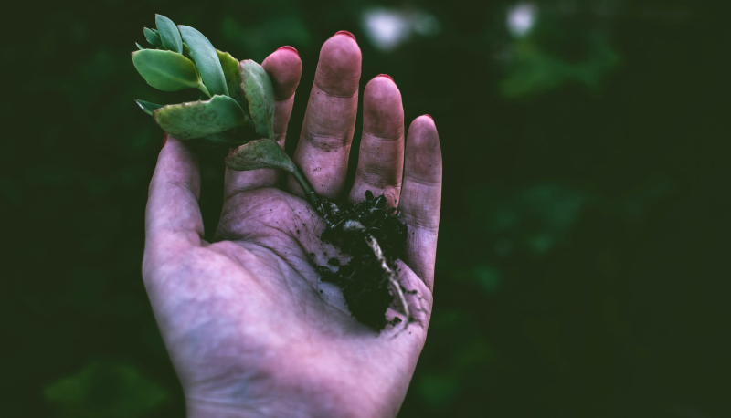 Che cos’è l’Earth Overshoot Day