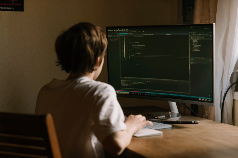 Violano i siti delle big tech, a capo degli hacker c’era un 16enne