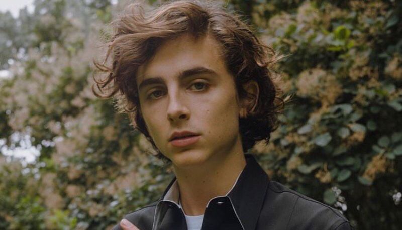 Chi è Timothée Chalamet, la nuova star di Hollywood