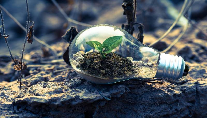 Perché il 5 giugno è la Giornata Mondiale dell’Ambiente