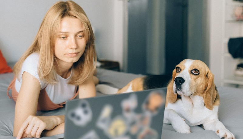 Tanti contenuti "inutili", il 57% degli italiani pensa di pagare troppo per lo streaming