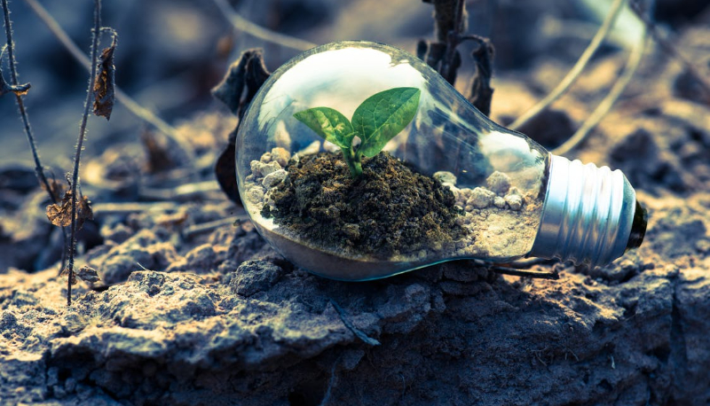 Guida semplice alle elezioni 2022: le proposte dei partiti politici sull’ambiente