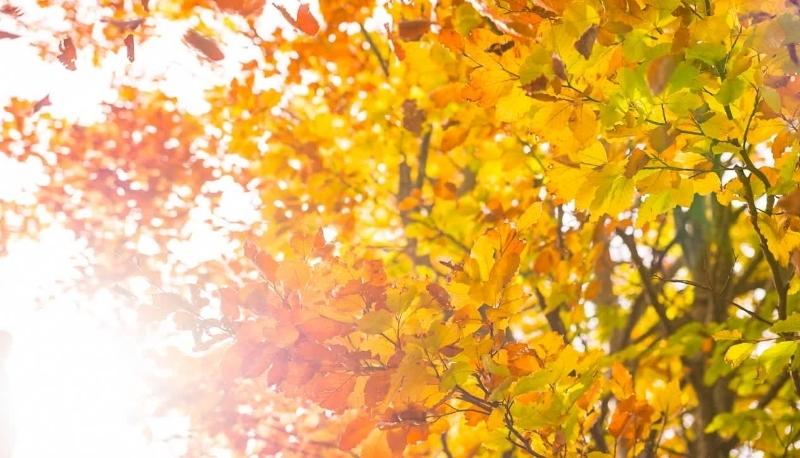 Quando cade l’equinozio d’autunno?