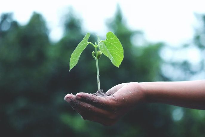 Olimpiadi Internazionali Scienze della terra: 12 medaglie per gli studenti italiani