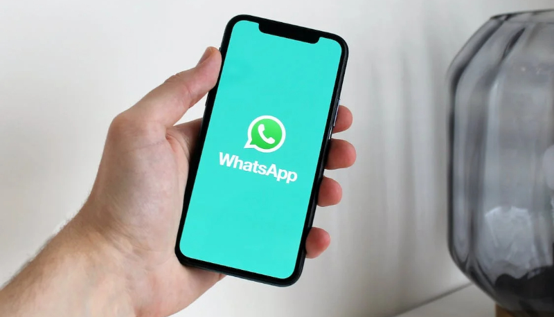 Come funziona WhatsApp Premium?