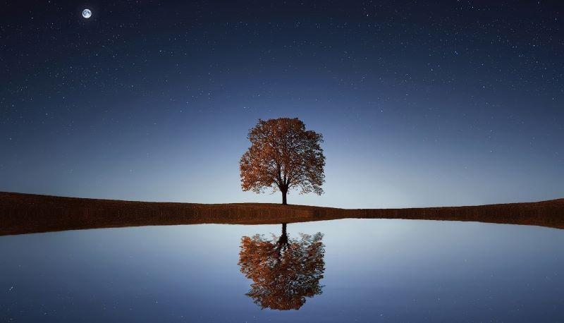 Oggi è il solstizio d’inverno: cosa significa?