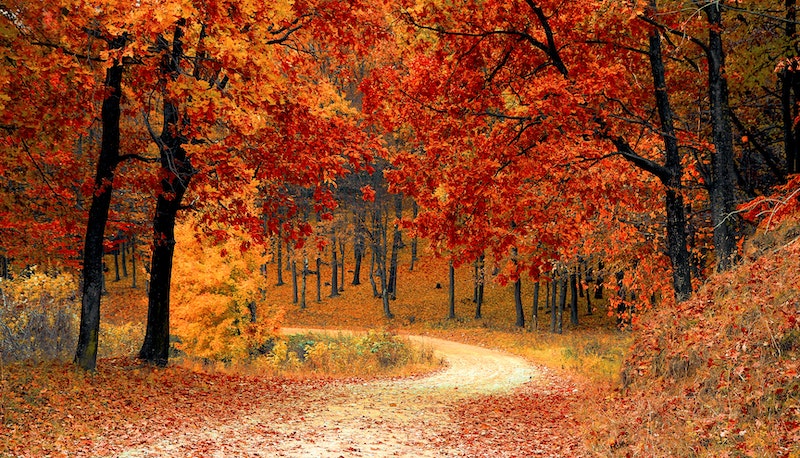 Quando cade l’equinozio d’autunno nel 2023